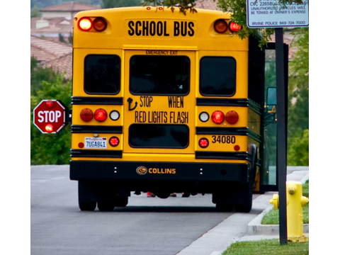 Stop behind the bus and wait until the alternating red lights stop flashing — Alberta school-buses road sign for Class 7 test